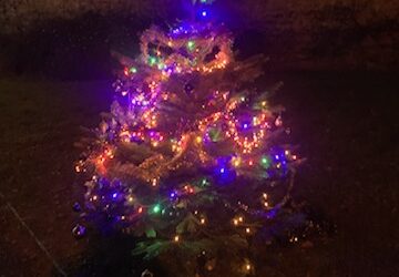 Les rendez-vous de Noël 2025