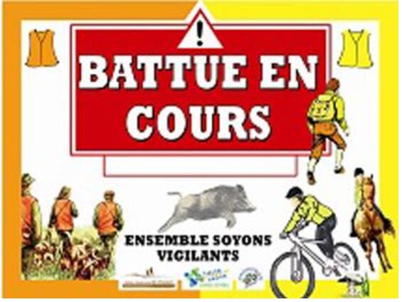 BATTUE au sanglier