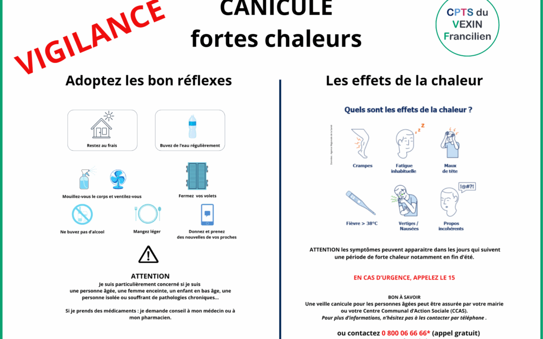 Canicule : Adoptez les bons gestes