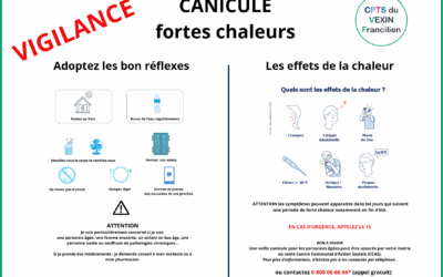 Canicule : Adoptez les bons gestes