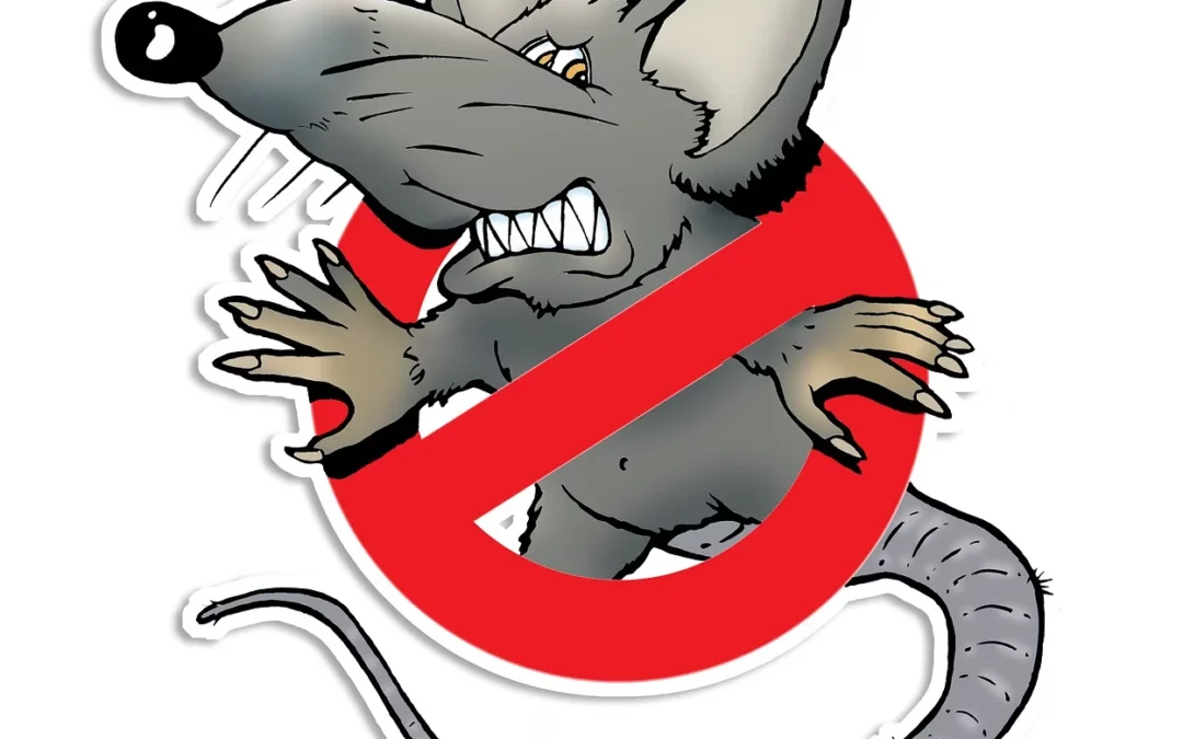 Campagne de dératisation 2026
